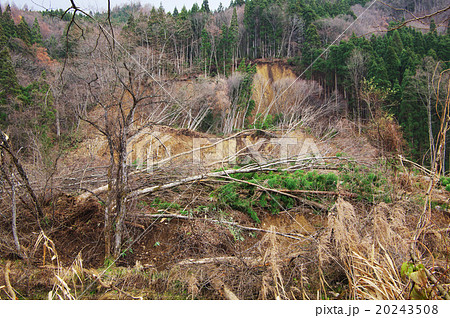 山崩れ　長野県神城断層地震 20243508