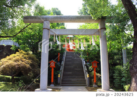 穴八幡宮 穴八幡宮 20243625