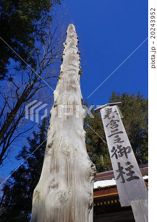 信州 諏訪大社の御柱（おんばしら） 日本三大奇祭のひとつ「御柱祭」で