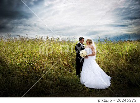 Wedding outdoor portraits 20245575