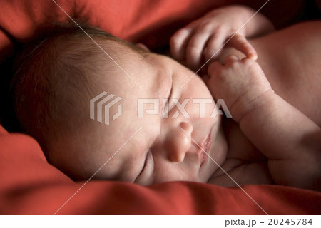 Sleeping newborn 20245784