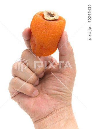 あんぽ柿 20246439