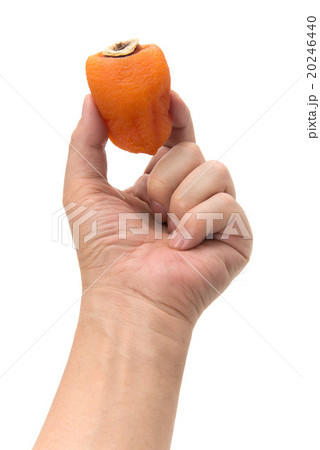 あんぽ柿 20246440