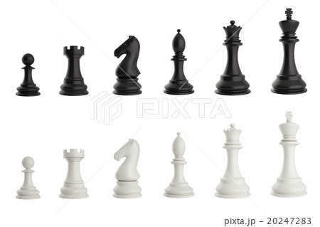 Set of black and white chess pieces. 20247283