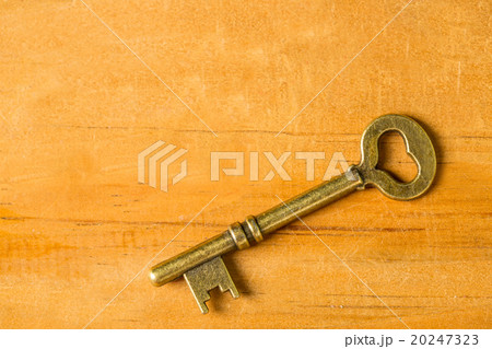 .Single vintage key .Single vintage key 20247323