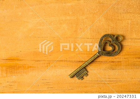 .Single vintage key .Single vintage key 20247331