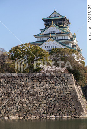 春　大阪城 20248126