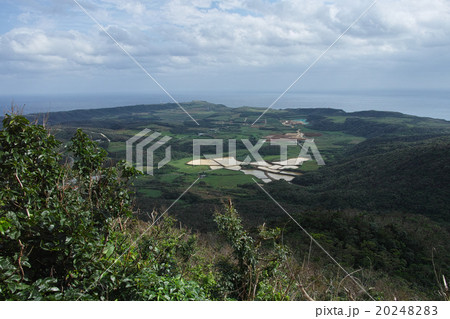 与那国島　宇良部岳山頂から東崎方面を望む 20248283
