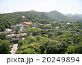 中国の観光名所　「杭州」の風景　西湖・雷峯塔・龍井 20249894