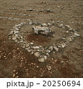 ロックハート 20250694