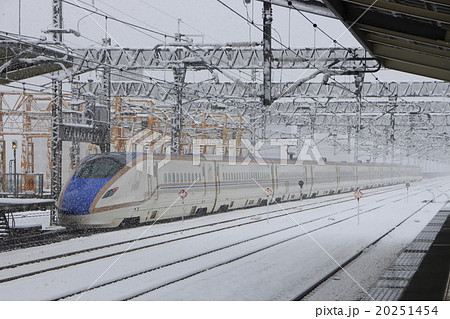 雪の日の上越・北陸新幹線E7系 20251454