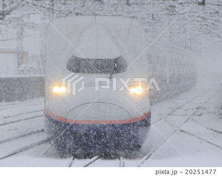 雪の中を行く上越新幹線E4系Max 20251477