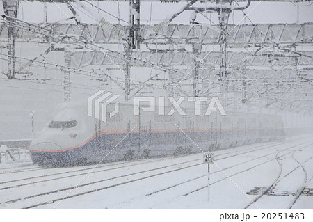 雪の中を行く上越新幹線E4系Max 20251483