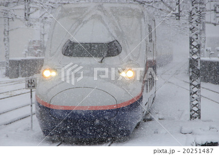 雪の中を行く上越新幹線E4系Max 20251487