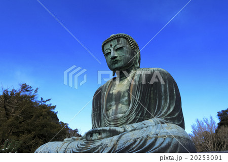 冬晴れの大仏 20253091