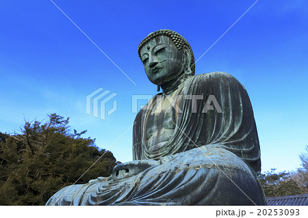 冬晴れの大仏 20253093