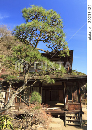 三渓園の冬 20253424