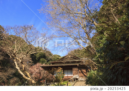 三渓園の冬 20253425