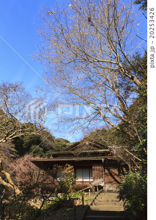 三渓園の冬 20253426