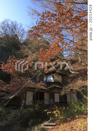 三渓園の冬 三渓園の冬 20253428