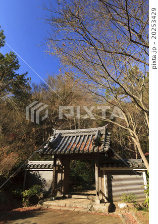 三渓園の冬 三渓園の冬 20253429