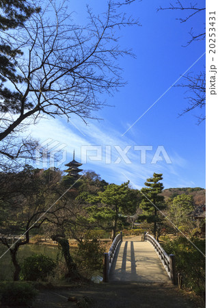 三渓園の冬 20253431