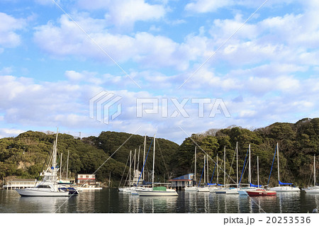 小網代湾の冬 小網代湾の冬 20253536