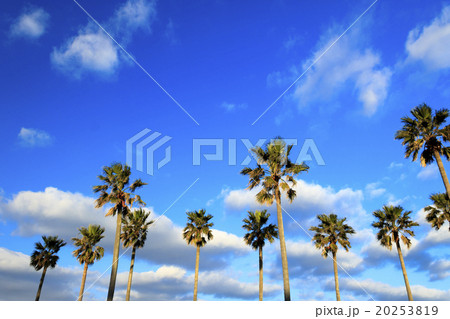 逗子の冬晴れ 20253819