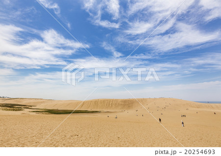 鳥取砂丘 鳥取砂丘 20254693