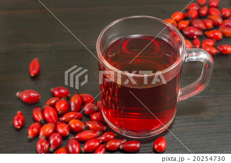 dog rose tea 20254730