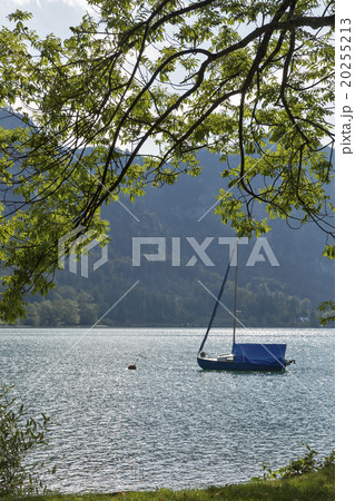 sailing yacht on Alpine lake Mondsee, Austria 20255213