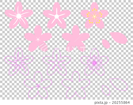 櫻花花瓣集 20255864