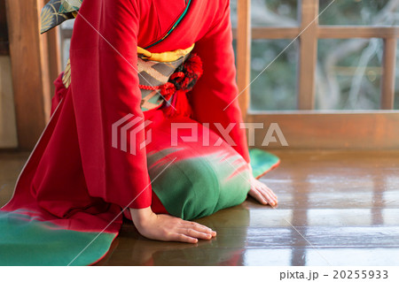 Furisode (kimono with long, trailing sleeves) 20255933