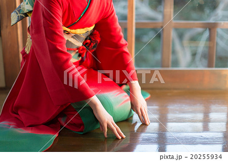 Furisode (kimono with long, trailing sleeves) 20255934