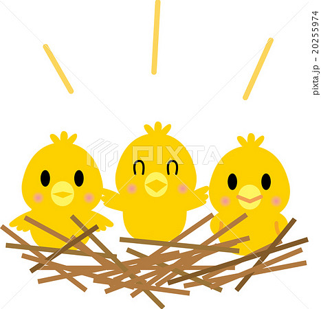 子供の成長 乳幼児期 子供の成長 乳幼児期 20255974