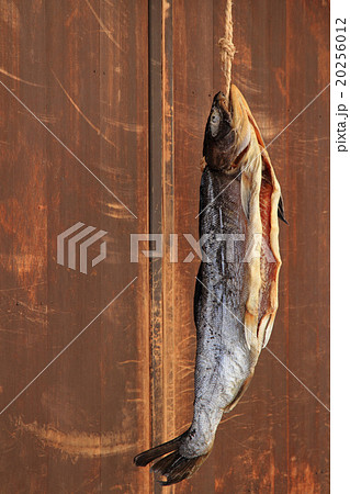 軒先に吊るされた塩引鮭の写真素材 [20256012] - PIXTA