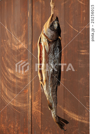 軒先に吊るされた塩引鮭 軒先に吊るされた塩引鮭 20256015