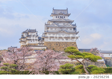 春の姫路城の風景 20256256