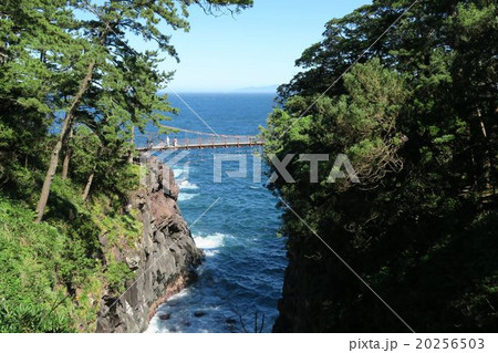 伊豆城ヶ崎の風景 伊豆城ヶ崎の風景 20256503