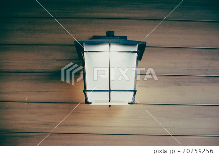 Light lamp Light lamp 20259256