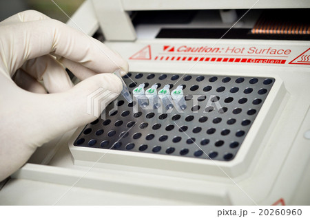 PCR machine 20260960