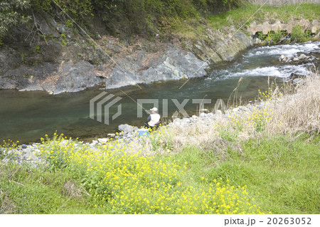 渓流釣り 渓流釣り 20263052