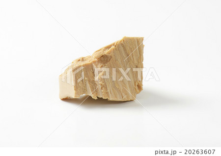 Baker's yeast 20263607