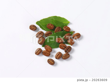 Roasted coffee beans with green leaves Roasted coffee beans with green leaves 20263609