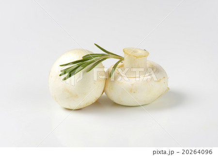 White Agaricus bisporus mushrooms White Agaricus bisporus mushrooms 20264096