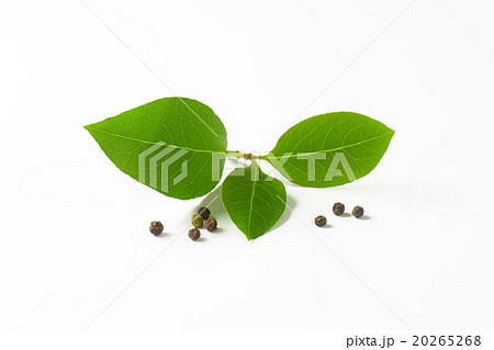Fresh bay leaves and black peppercorns 20265268
