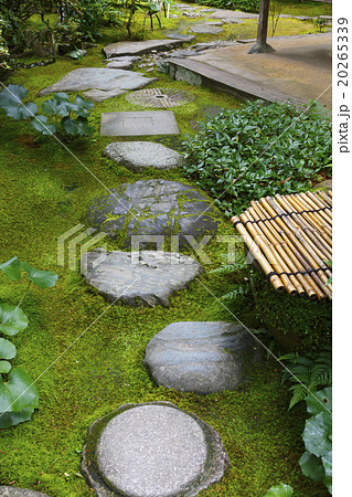 日本庭園の飛び石の写真素材
