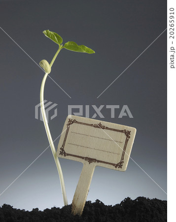plant growth plant growth 20265910
