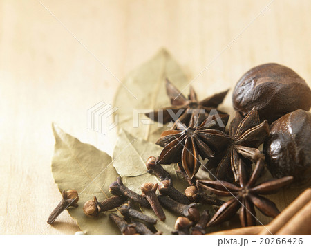 spices spices 20266426