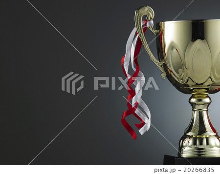 trophy trophy 20266835